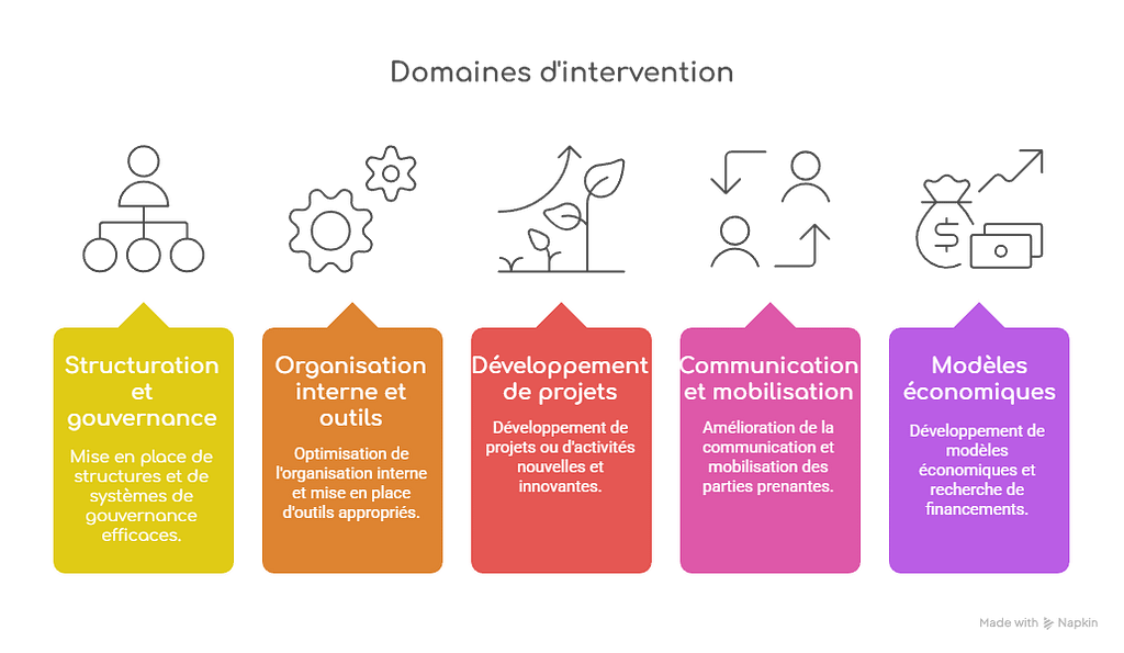 Mes champs d'intervention : Structuration et gouvernance, Organisation interne et outils, Développement de projets ou d’activités, Communication et mobilisation, Modèles économiques et financements